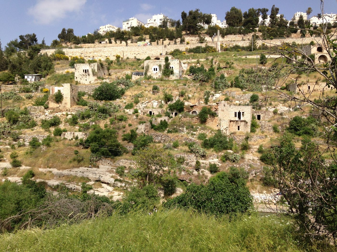 Ein Lifta seen across the valley on 23 April 2017: stone houses stepping up a terraced green hillside, with newer buildings along the ridge above.
